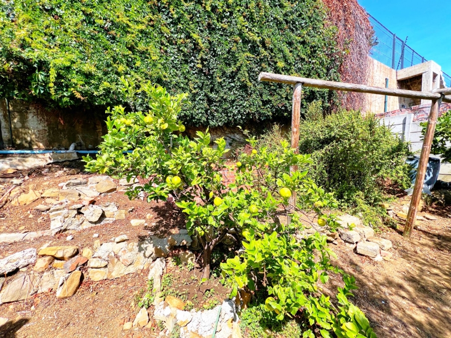 To Let 1 Bedroom Property for Rent in Green Point Western Cape